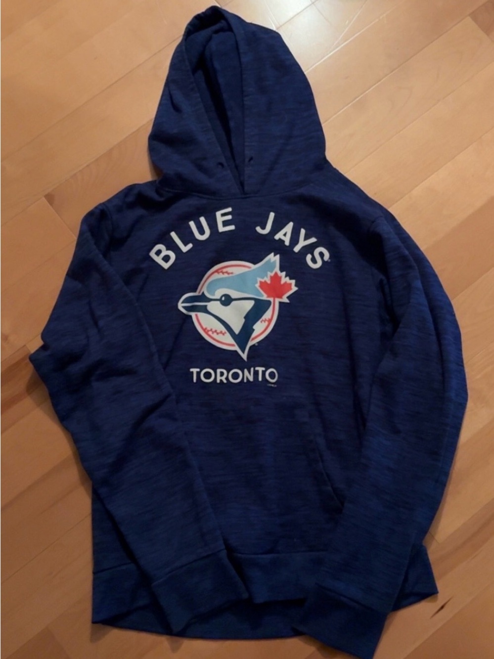 Toronto Blue Jays Men's Blue Pullover Hoodie